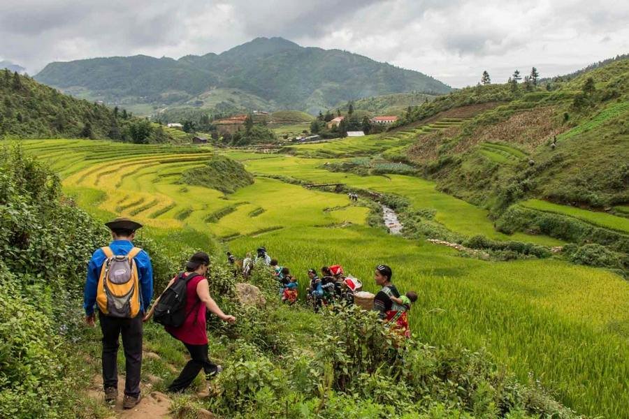 Sapa Cycling Tour Half Day
